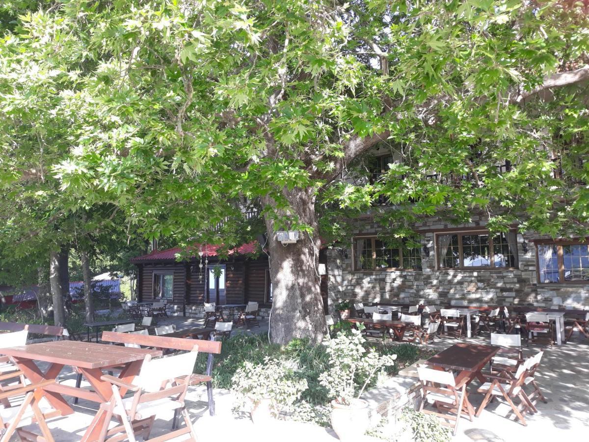 Manthos Mountain & 4*