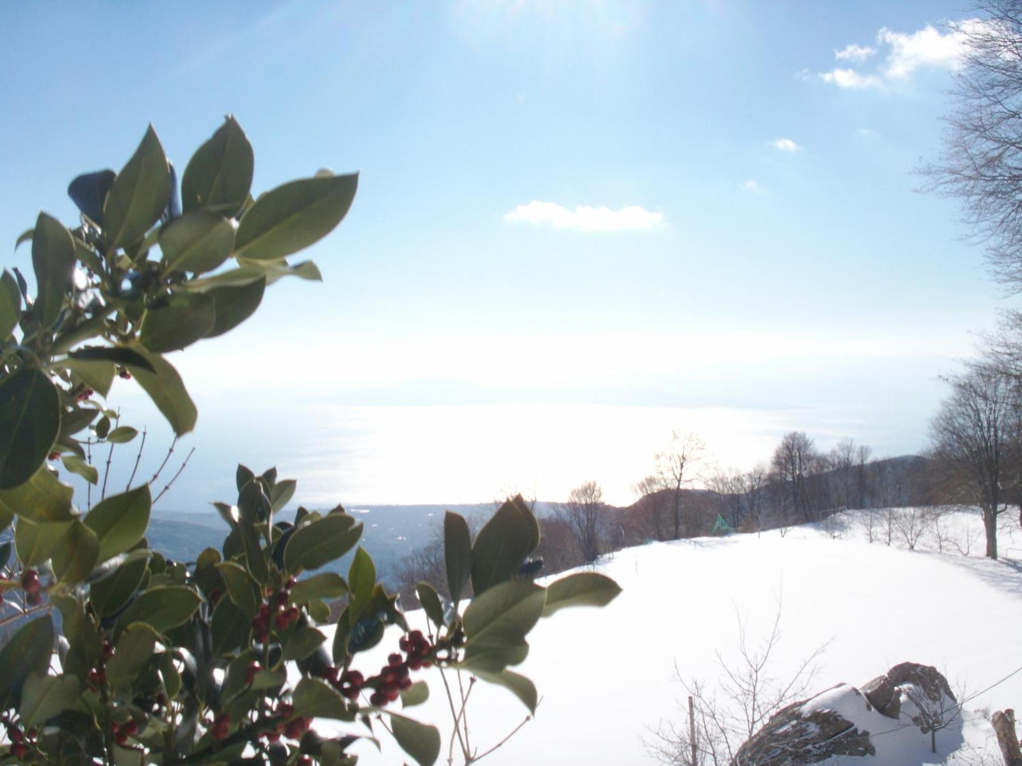Hotel Manthos Mountain Resort&spa 4*